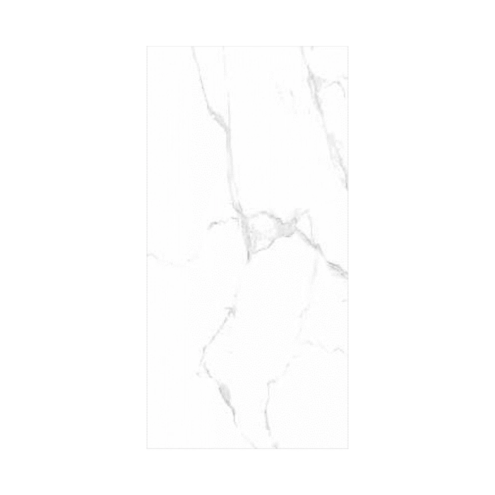 Keramica Floor Porcelain Tiles CT60120/213 Glossy 120×60 cm First Grade