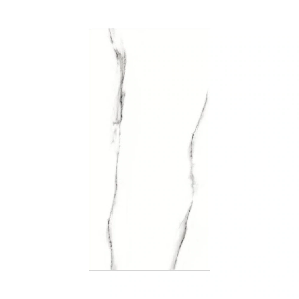 Keramica Floor Porcelain Tiles CT60120/171 Glossy 120×60 cm First Grade