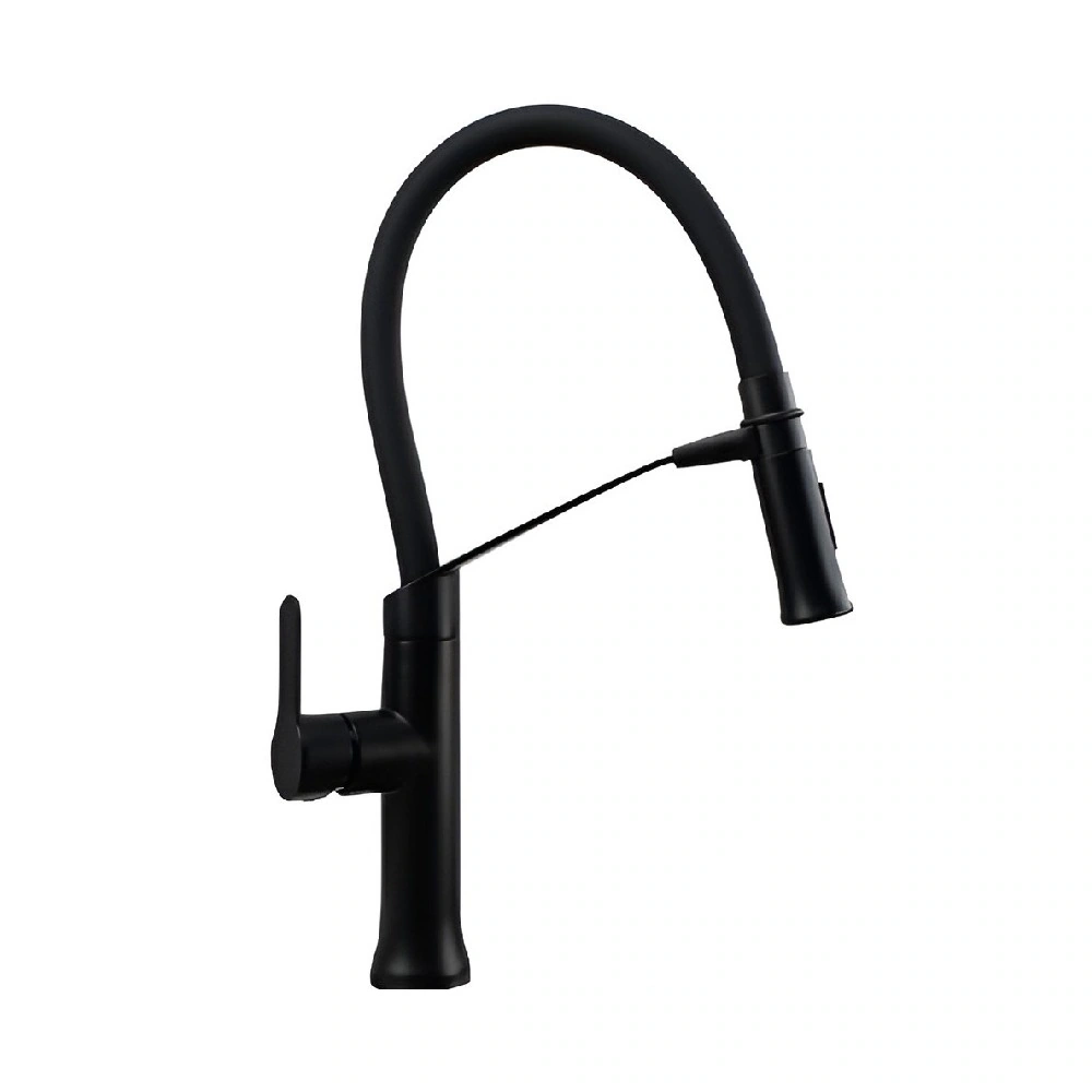Gawad Aero 2 System Kitchen Sink Mixer, Black Matt