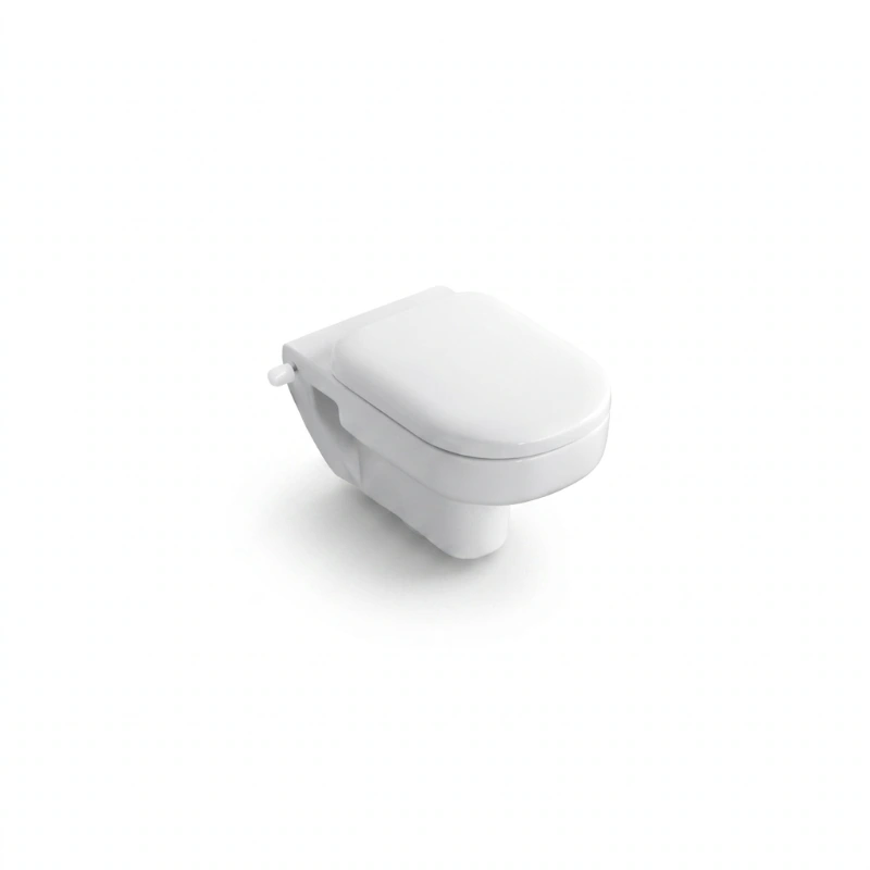 Playa wall-hung toilet with bidet function and shut-off valve, white (G4994)